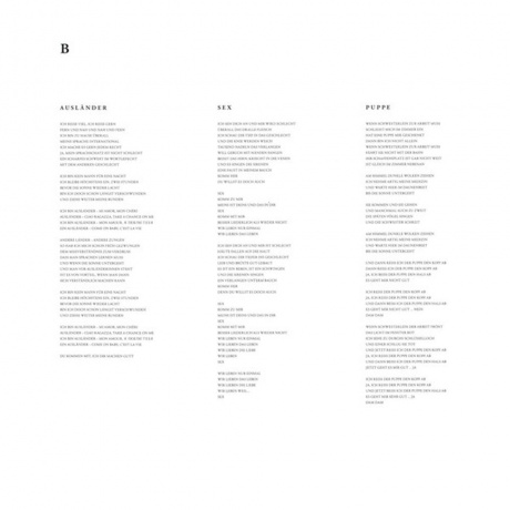 Rammstein - Rammstein (0602577493942) виниловая пластинка - фото 9