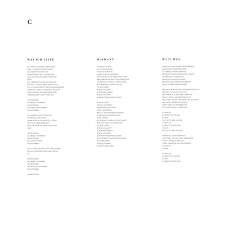 Rammstein - Rammstein (0602577493942) виниловая пластинка - фото 10