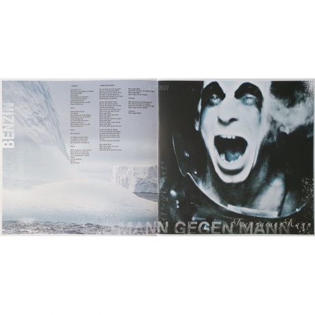 Rammstein - Rosenrot (0602527296753) виниловая пластинка - фото 12