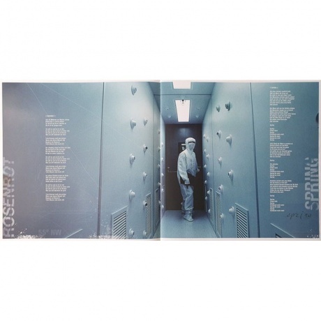 Rammstein - Rosenrot (0602527296753) виниловая пластинка - фото 13