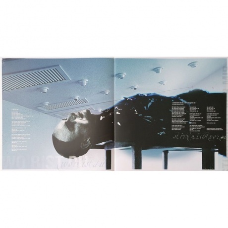 Rammstein - Rosenrot (0602527296753) виниловая пластинка - фото 14