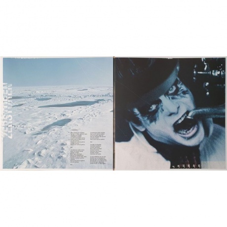 Rammstein - Rosenrot (0602527296753) виниловая пластинка - фото 15