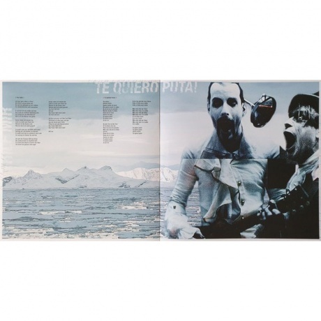 Rammstein - Rosenrot (0602527296753) виниловая пластинка - фото 17