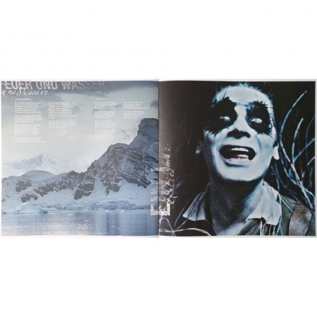 Rammstein - Rosenrot (0602527296753) виниловая пластинка - фото 18