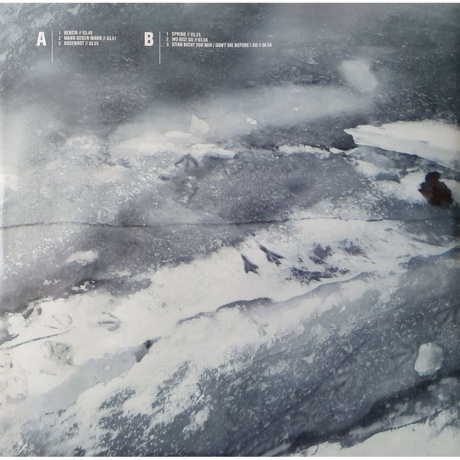 Rammstein - Rosenrot (0602527296753) виниловая пластинка - фото 8