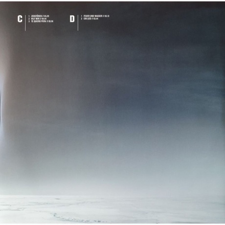 Rammstein - Rosenrot (0602527296753) виниловая пластинка - фото 10