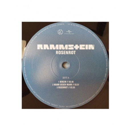 Виниловая пластинка Rammstein, Rosenrot (0602527296753) - фото 7