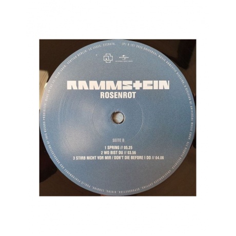 Виниловая пластинка Rammstein, Rosenrot (0602527296753) - фото 8