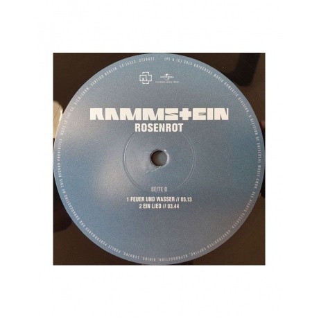 Виниловая пластинка Rammstein, Rosenrot (0602527296753) - фото 10