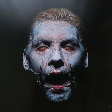 Rammstein - Sehnsucht (0602527296661) виниловая пластинка - фото 19