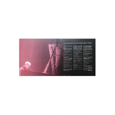 Виниловая пластинка Max Richter, Voices (0602508986529) - фото 2
