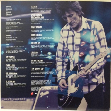 The Rolling Stones - Blue &amp; Lonesome (0602557149449) виниловая пластинка - фото 12