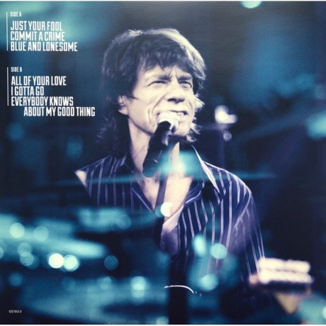 The Rolling Stones - Blue &amp; Lonesome (0602557149449) виниловая пластинка - фото 9