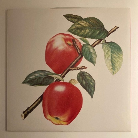 The Rolling Stones, Undercover (Half Speed) (0602508773273) виниловая пластинка - фото 2