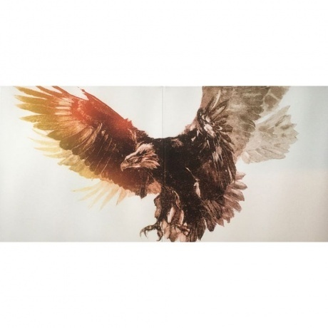 Snow Patrol - Fallen Empires (0602567954316) виниловая пластинка - фото 2