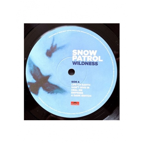 Виниловая пластинка Snow Patrol, Wildness (0602567412472) - фото 3