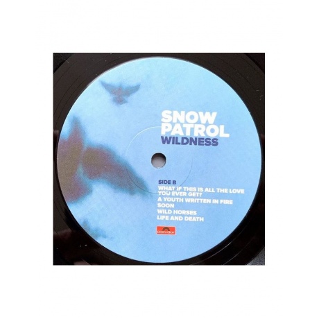 Виниловая пластинка Snow Patrol, Wildness (0602567412472) - фото 4