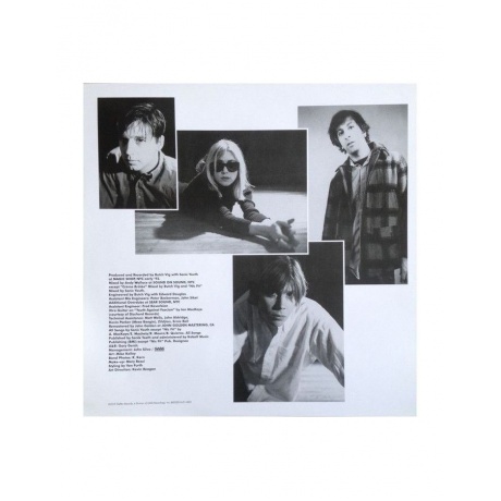 Виниловая пластинка Sonic Youth, Dirty (0602547349354) - фото 7