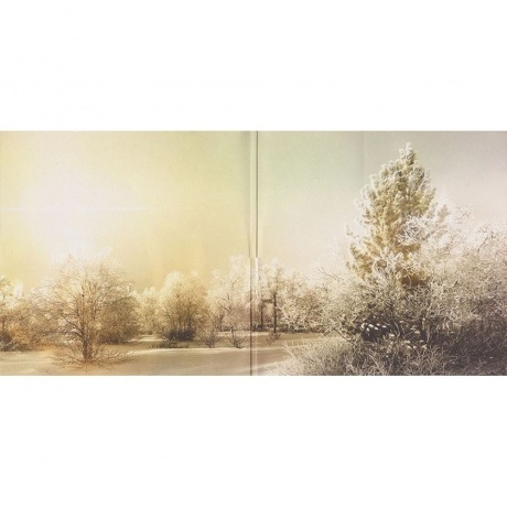 Soundgarden - King Animal (0602537198184) виниловая пластинка - фото 2