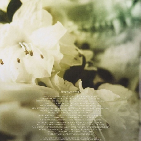 Soundgarden - King Animal (0602537198184) виниловая пластинка - фото 11