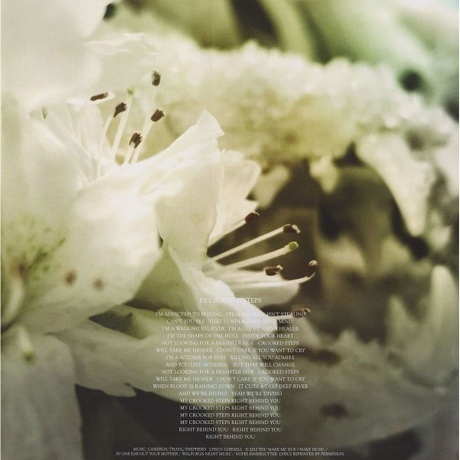 Soundgarden - King Animal (0602537198184) виниловая пластинка - фото 12