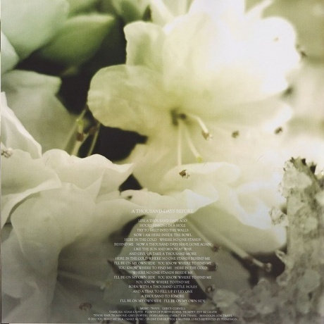 Soundgarden - King Animal (0602537198184) виниловая пластинка - фото 13