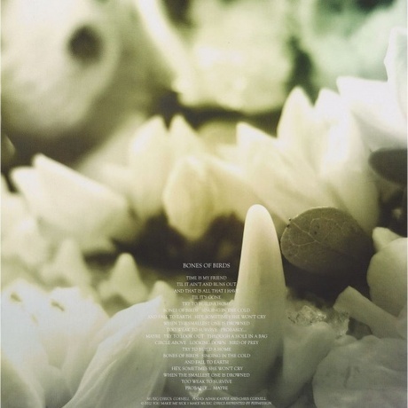 Soundgarden - King Animal (0602537198184) виниловая пластинка - фото 16