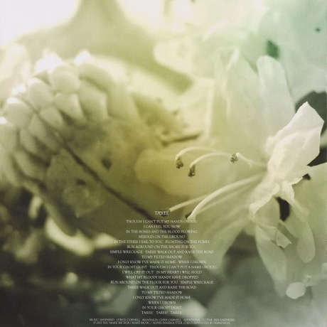 Soundgarden - King Animal (0602537198184) виниловая пластинка - фото 17