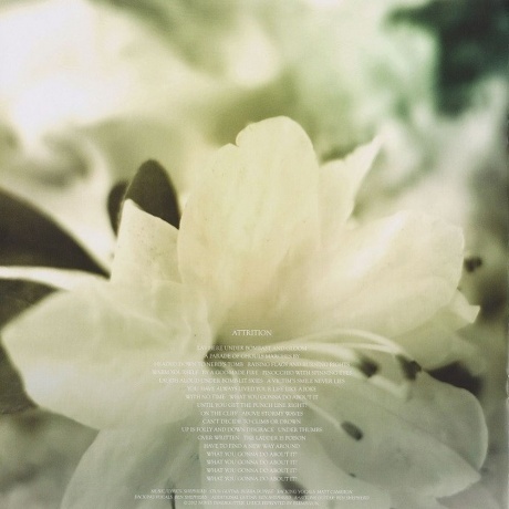 Soundgarden - King Animal (0602537198184) виниловая пластинка - фото 19