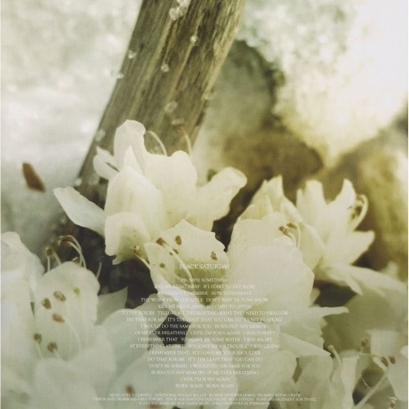 Soundgarden - King Animal (0602537198184) виниловая пластинка - фото 20