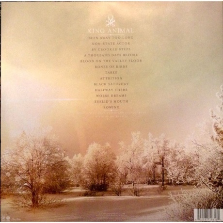 Soundgarden - King Animal (0602537198184) виниловая пластинка - фото 3