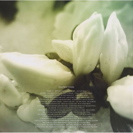 Soundgarden - King Animal (0602537198184) виниловая пластинка - фото 21