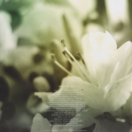 Soundgarden - King Animal (0602537198184) виниловая пластинка - фото 23