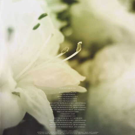 Soundgarden - King Animal (0602537198184) виниловая пластинка - фото 24