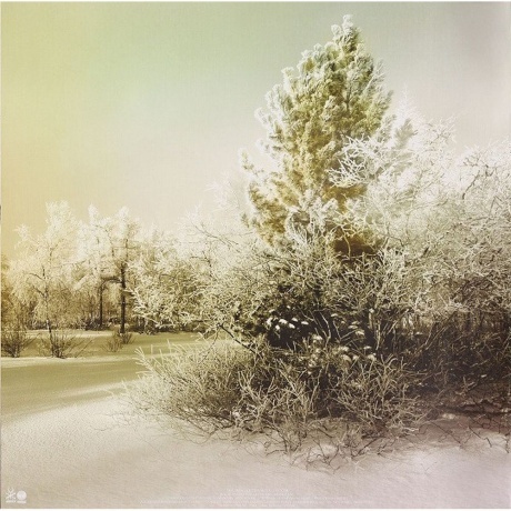 Soundgarden - King Animal (0602537198184) виниловая пластинка - фото 27