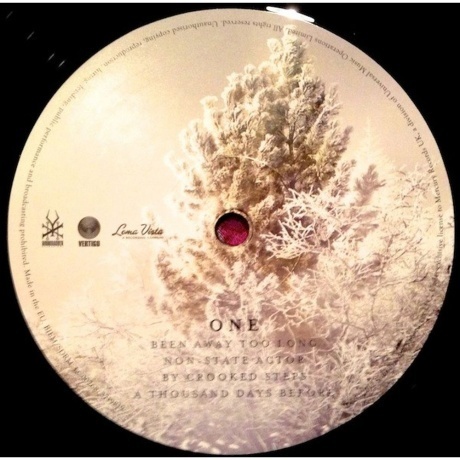 Soundgarden - King Animal (0602537198184) виниловая пластинка - фото 4