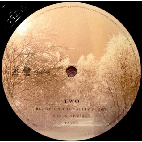 Soundgarden - King Animal (0602537198184) виниловая пластинка - фото 5