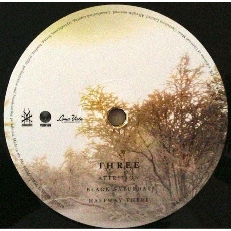 Soundgarden - King Animal (0602537198184) виниловая пластинка - фото 6