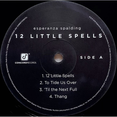 Esperanza Spalding - 12 Little Spells (0888072082113) виниловая пластинка - фото 5