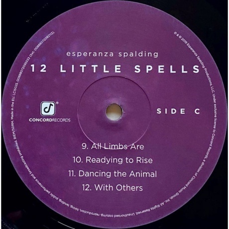 Esperanza Spalding - 12 Little Spells (0888072082113) виниловая пластинка - фото 7