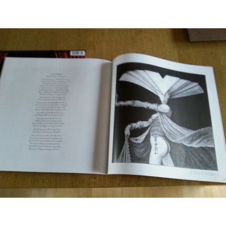 Ringo Starr - Ringo (0602557987812) виниловая пластинка - фото 14