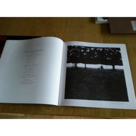 Ringo Starr - Ringo (0602557987812) виниловая пластинка - фото 10