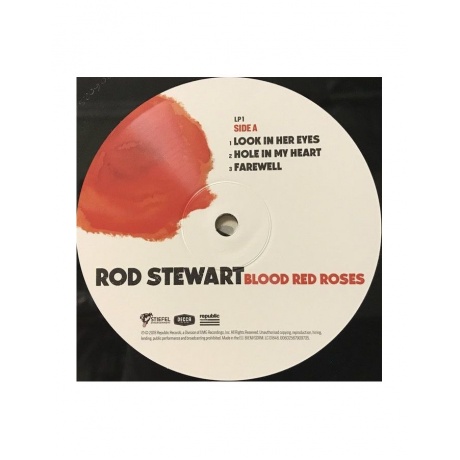 Виниловая пластинка Rod Stewart, Blood Red Roses (0602567909736) - фото 6