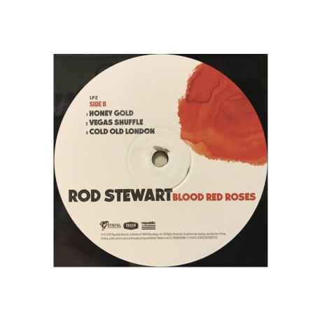 Виниловая пластинка Rod Stewart, Blood Red Roses (0602567909736) - фото 9