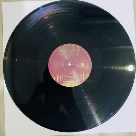 Tame Impala - Lonerism (0602537953004) виниловая пластинка - фото 7