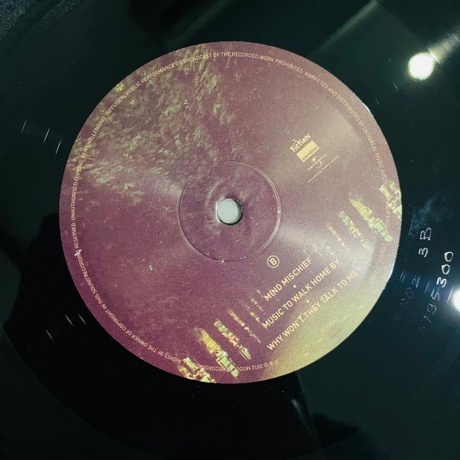 Tame Impala - Lonerism (0602537953004) виниловая пластинка - фото 8