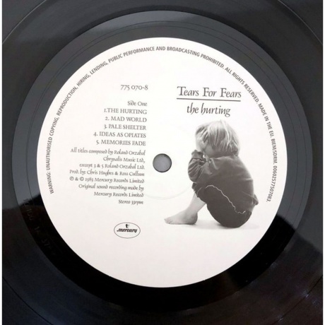 Tears For Fears - The Hurting (0602577507083) виниловая пластинка - фото 3