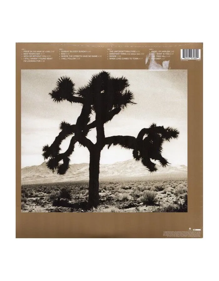 Виниловая пластинка U2, The Best Of 1980-1990 (0602557970890) - фото 9