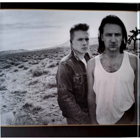 U2 - The Joshua Tree (0602557498448) виниловая пластинка - фото 2