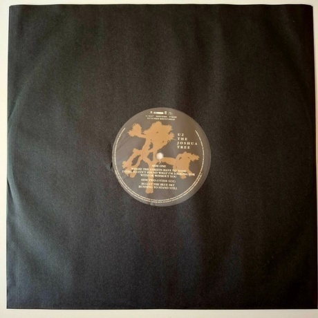 U2 - The Joshua Tree (0602557498448) виниловая пластинка - фото 9